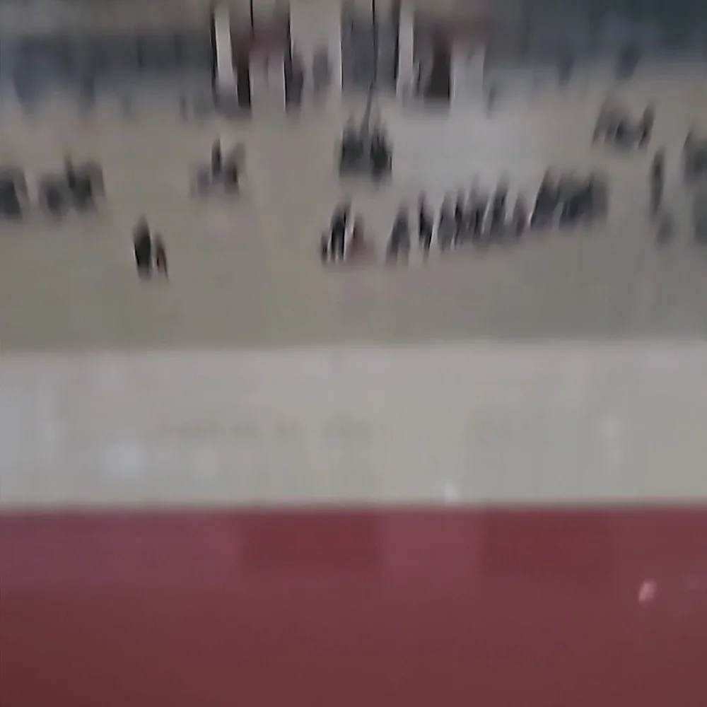 Goldleaf framed picture - Picture 3 of 3